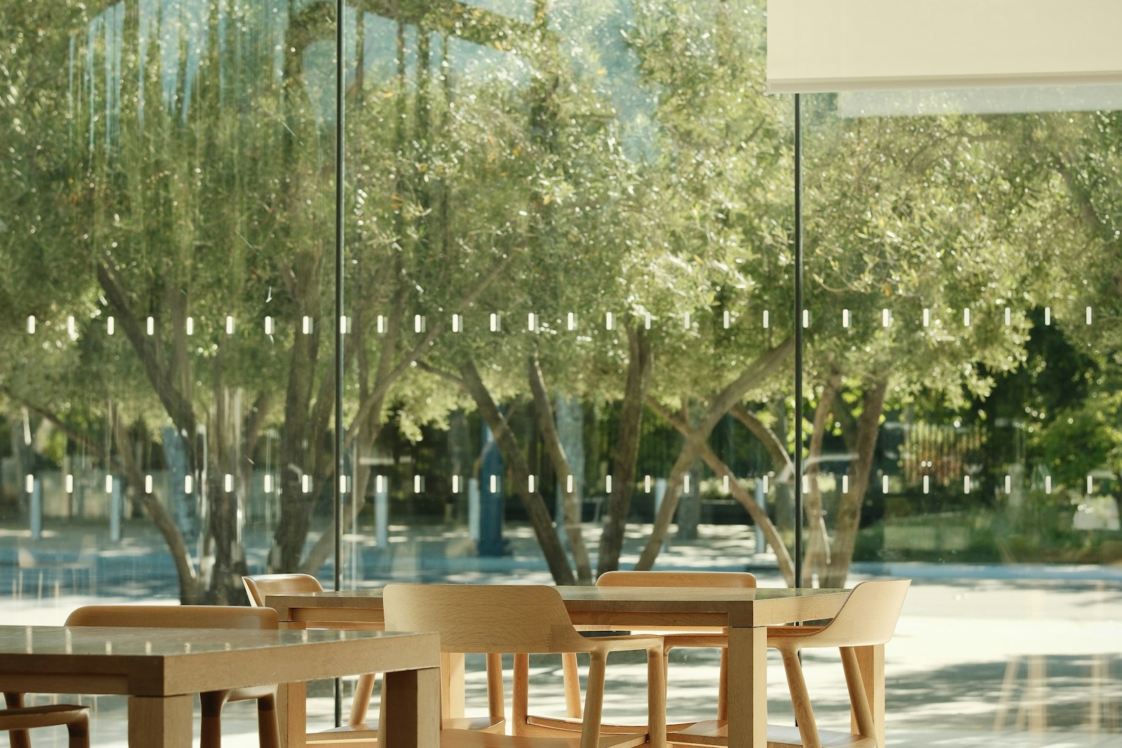 Bright, modern restaurant interior